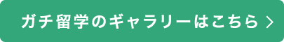 通常のギャラリーはこちら