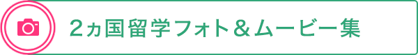 フォトギャラリー